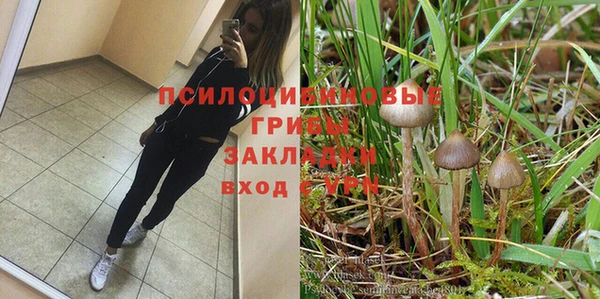 хмурый Богородицк