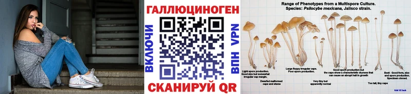 Псилоцибиновые грибы Cubensis  Купить  Выкса 